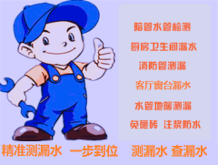 主管漏水暗管漏水、厕所漏水厨房漏水、暗管漏水检测、厨房漏水检测、卫生间漏水检测服务